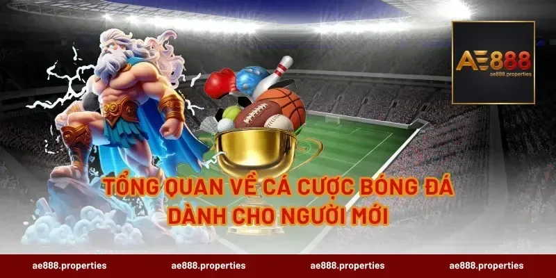 Tổng Quan Về Cá Cược Bóng Đá Dành Cho Người Mới