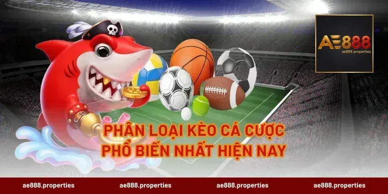 Phân Loại Kèo Cá Cược Phổ Biến Nhất Hiện Nay