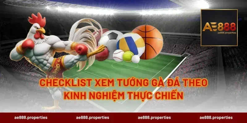 Checklist xem tướng gà đá theo kinh nghiệm thực chiến