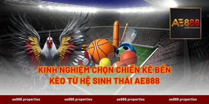 Kinh nghiệm chọn chiến kê bền kèo từ hệ sinh thái AE888