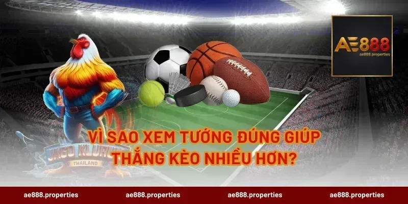 Vì sao xem tướng đúng giúp thắng kèo nhiều hơn?