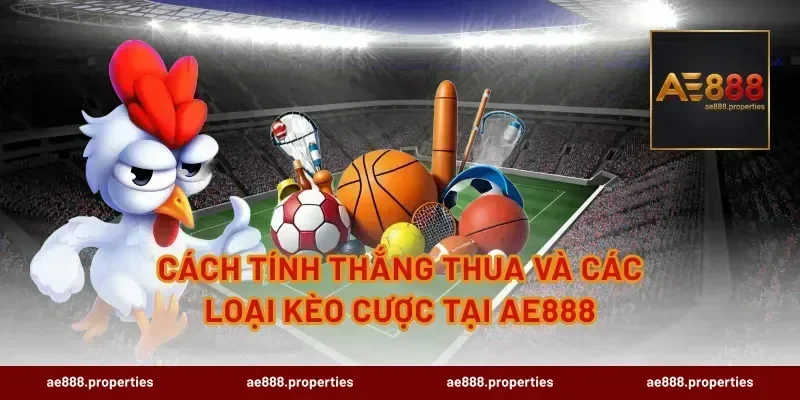 Cách tính thắng thua và các loại kèo cược tại AE888