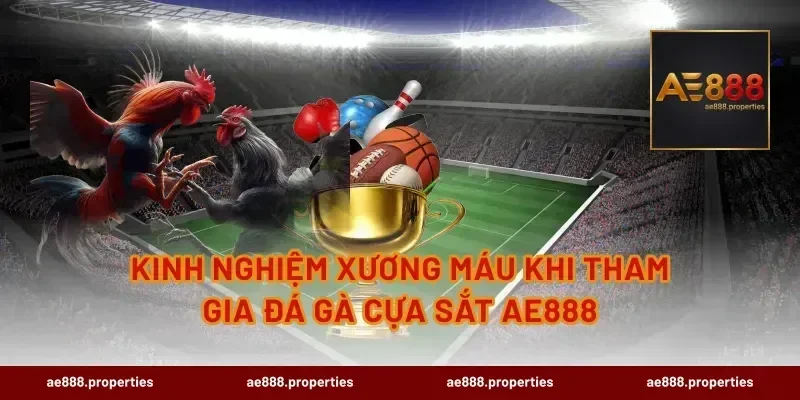 Kinh nghiệm xương máu khi tham gia đá gà cựa sắt AE888