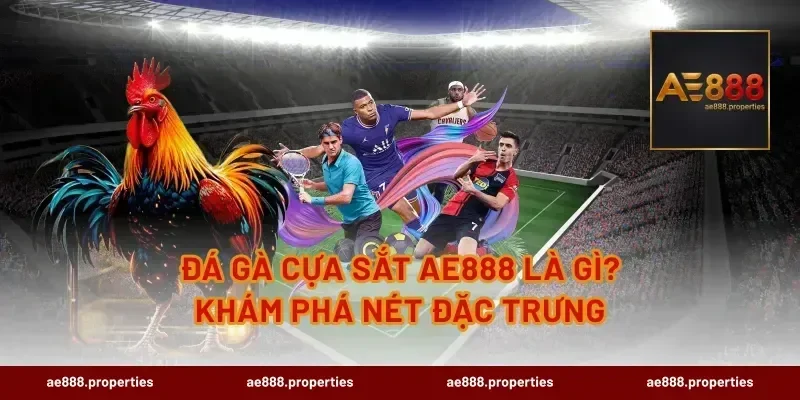 Đá gà cựa sắt AE888 là gì? Khám phá nét đặc trưng