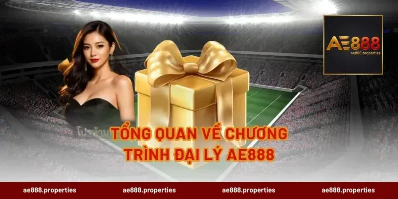 Tổng Quan Về Chương Trình Đại Lý AE888