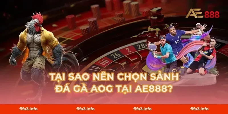 Tại sao nên chọn Sảnh Đá Gà AOG tại AE888?